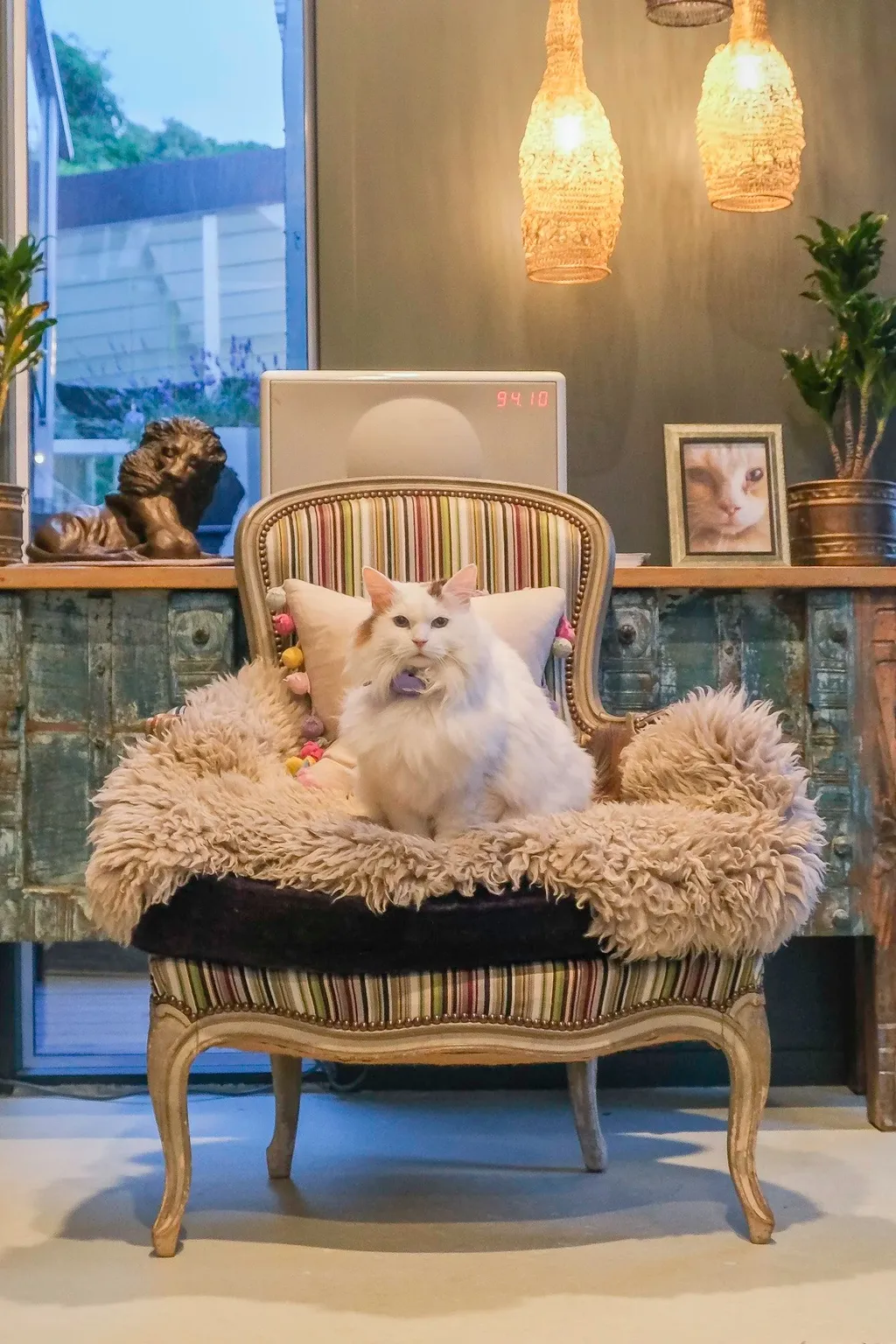 고양이 호텔 관련 이미지 3